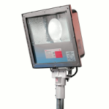 Champ Voyager SS Floodlight